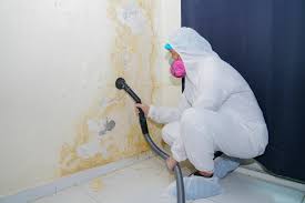 Mold Removal for HVAC Installations in Clayton, CA